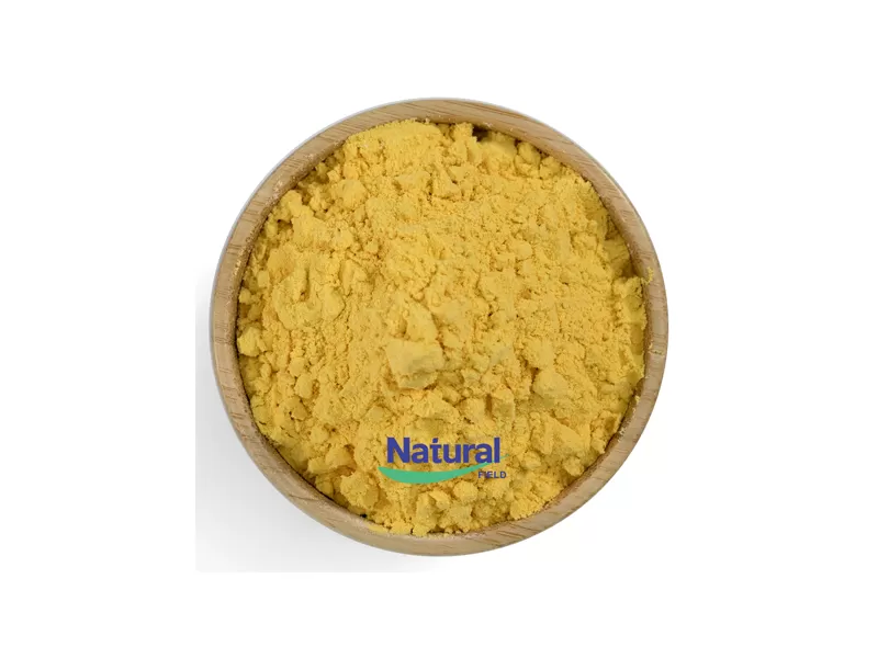 coenzyme q10 bulk powder manufacturers