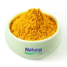 Serbuk Curcumin