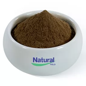 Serbuk ekstrak Bacopa Monniera