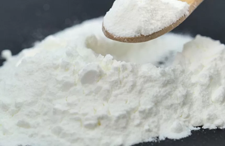 Mekanisme serbuk probiotik tindakan