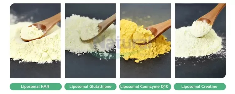 Apakah Serbuk Kreatin Liposomal?