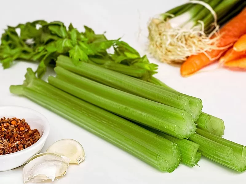 Penemuan baru mengenai pemakanan Flavonoid Apigenin: kejayaan dalam mekanisme Anti-penuaan, perlindungan kesihatan pelbagai fungsi