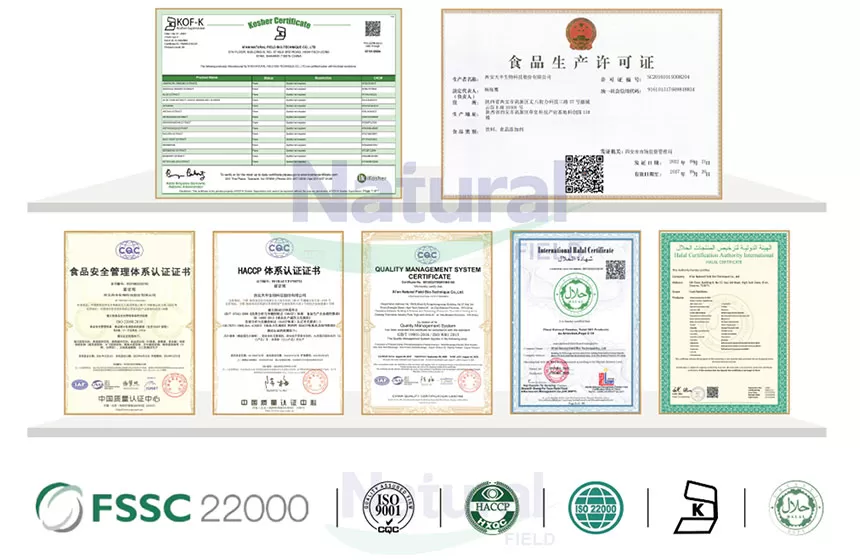 Mengapa memilih bidang semulajadi sebagai pembekal serbuk Creatine Monohydrate anda?