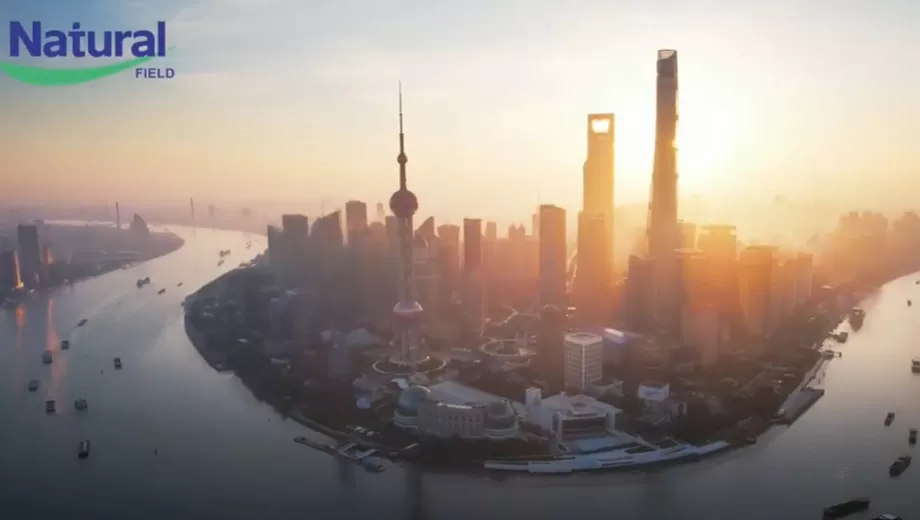 Terima kasih besar kepada semua yang membuat CPHI China 2025 tidak dapat dilupakan. Lihat anda tahun depan-lebih besar dan lebih baik