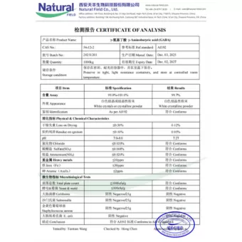 NF-COA GABA