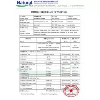 NF-COA Ekstrak Teh Hijau (EGCG)