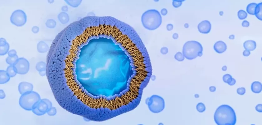 Adakah Vitamin C Liposomal Benar-benar Lebih Baik daripada Asid Askorbik Tradisional?