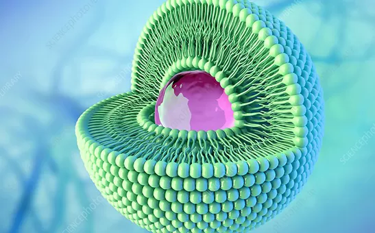 Teknologi Liposomal Diterangkan: Daripada Cabaran Bioavailabiliti kepada Pembuatan Serbuk Liposomal Skala Perindustrian