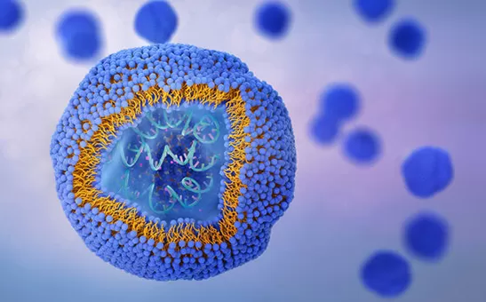 Pengeluar Liposomal 10 teratas di UK