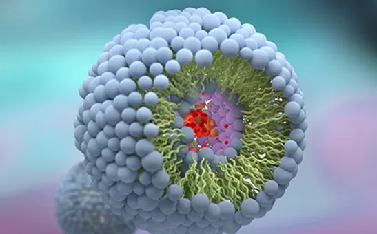 Pengeluar Liposomal 10 teratas di amerika syarikat