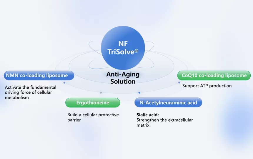 NF Trisolve® Penyelesaian Anti-penuaan