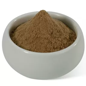 Serbuk Ekstrak Cendawan Shiitake
