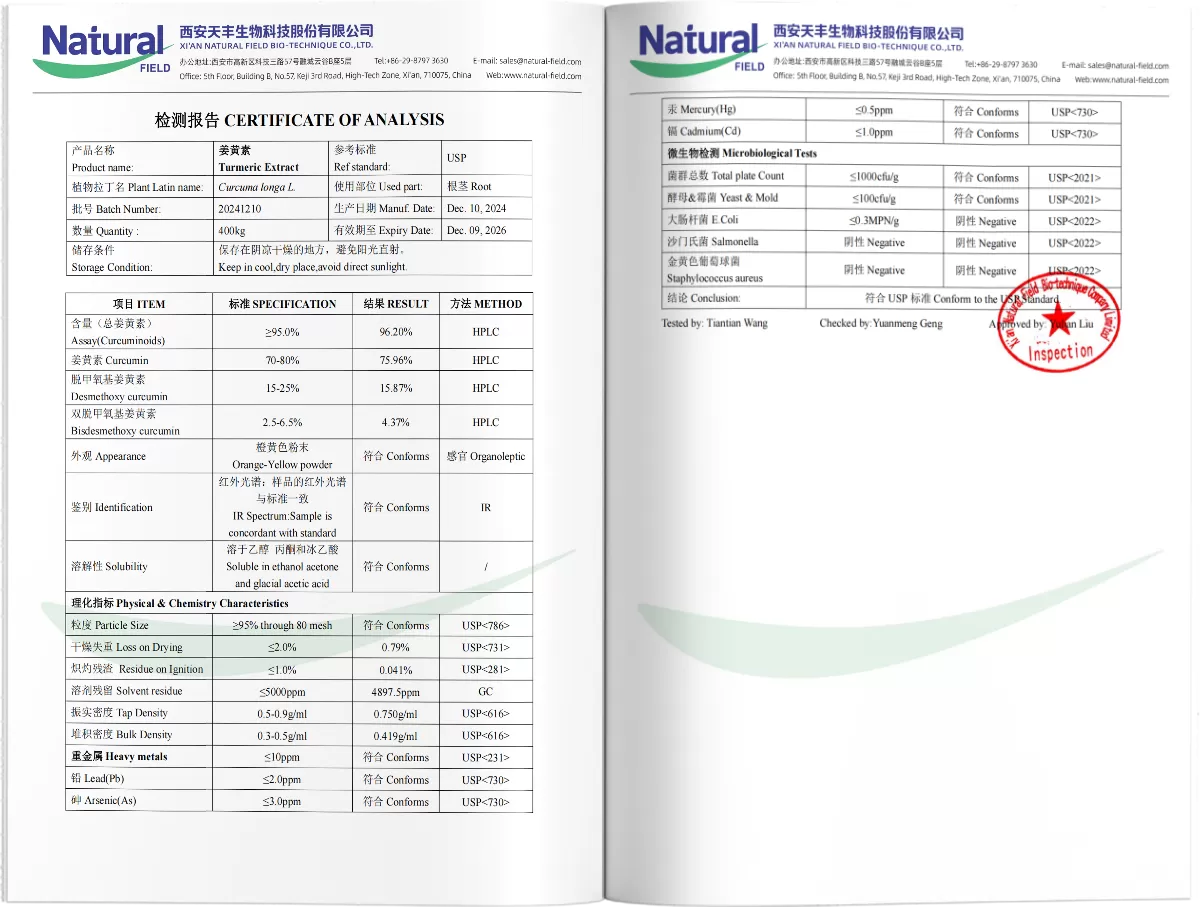 Ekstrak Curcumin kunyit PDF